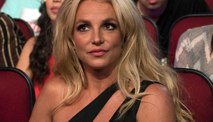 Britney Spears voices concerns she’s a ‘bad mother’: ‘Pause for a second!’