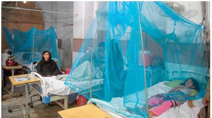 Dengue virus rears its head in Sindh, Punjab
