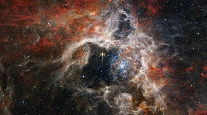 NASA's Webb catches Tarantula Nebula