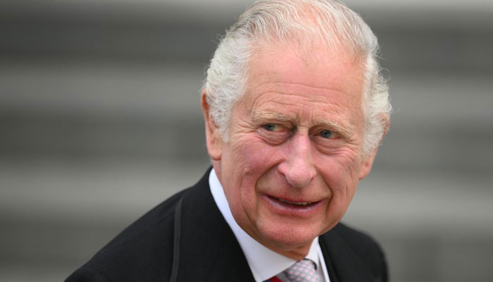 King Charles convinced he can do good job in Queen replacement role