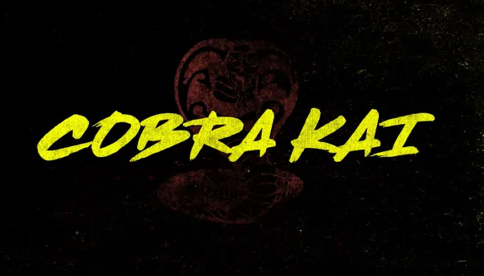 Cobra Kai season 5 is on its way to Netflix