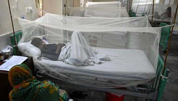 Un malato di dengue riposa su un letto d'ospedale coperto da una rete per la protezione dalle zanzare portatrici di virus.  — File AFP