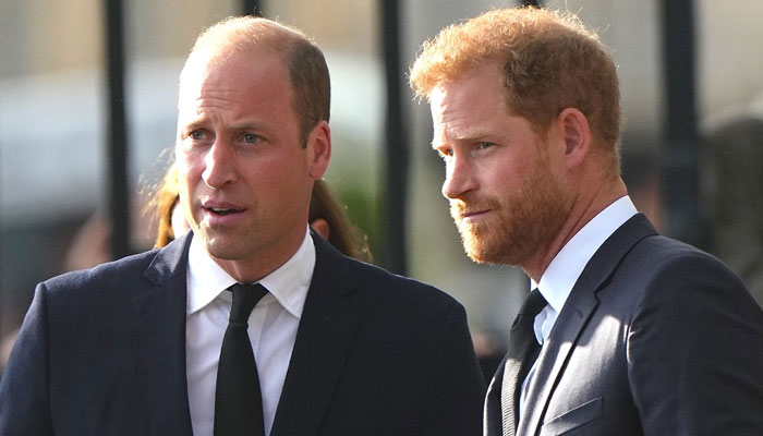 Plans for Prince William, Prince Harry to walk ‘side-by-side’ at Queen’s funeral