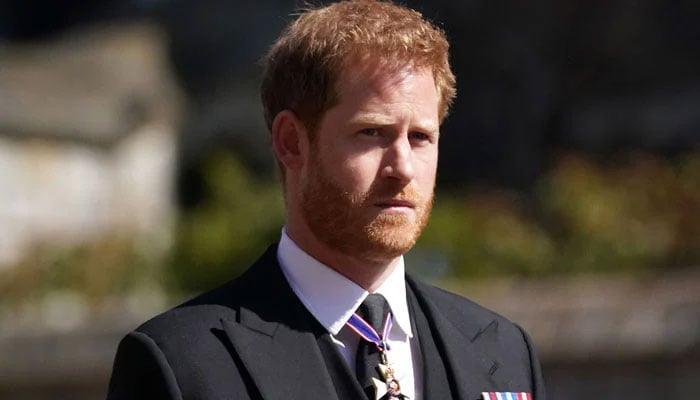 Prince Harry garners respect with THIS move during Windsor walkabout