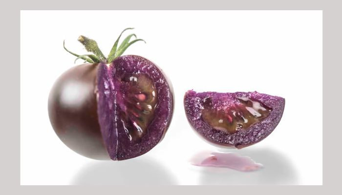 Tomat ungu yang dimodifikasi secara genetik segera memasuki pasar AS