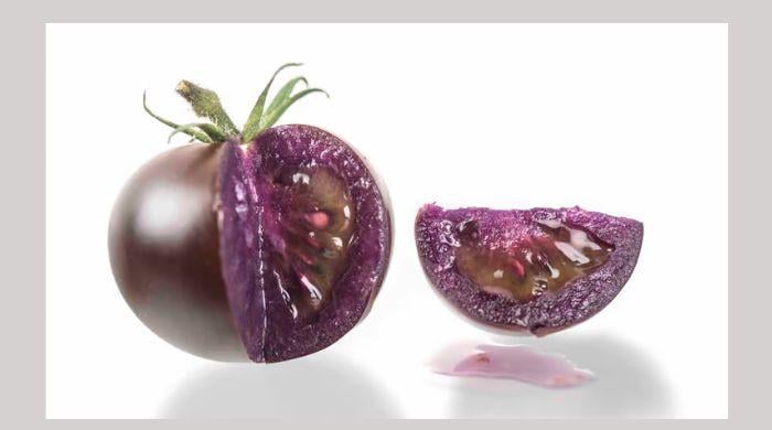 Genetically modified purple tomatoes soon to hit US market
