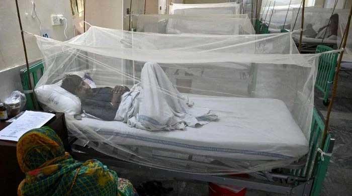 Seven succumb to dengue in Karachi
