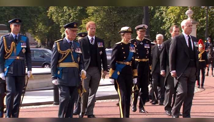 Prince Harry and William renew memories of Princess Dianas funeral