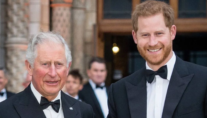 King Charles honours Prince Harry with latest move
