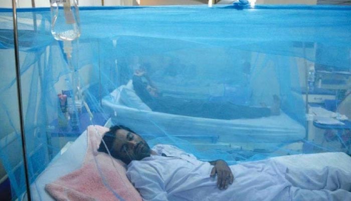 Un malato di dengue di Karachi riposa su un letto d'ospedale coperto da una zanzariera.  — File AFP