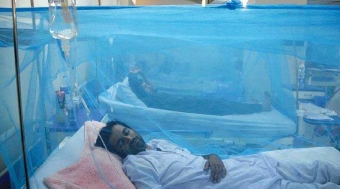 Dengue virus grips Karachi, infects 403 in 24 hours