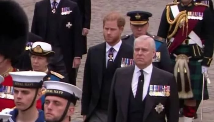 Prince Harry, Prince Andrew not wearing military uniform at historic Queen’s funeral