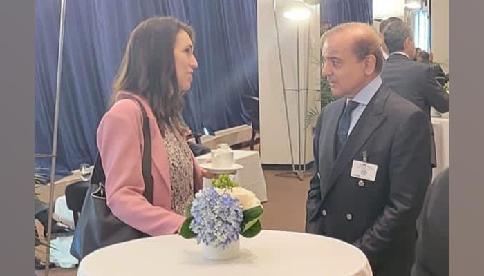 New Zealands Prime Minister Jacinda Ardern (L) meets Prime Minister Shahbaz Sharif in New York. — Twitter/@PakPMO