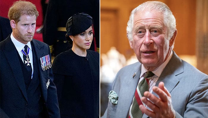 King Charles’ reign ‘in trouble’ without Prince Harry, Meghan Markle: ‘Gonna need help’