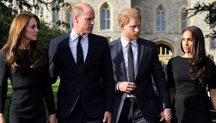 Príncipe William irritado com príncipe Harry e Meghan Markle por atacar 'espectador inocente'