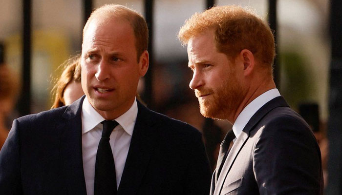 Harry and William try to pass through ‘turmoil’ of family rift