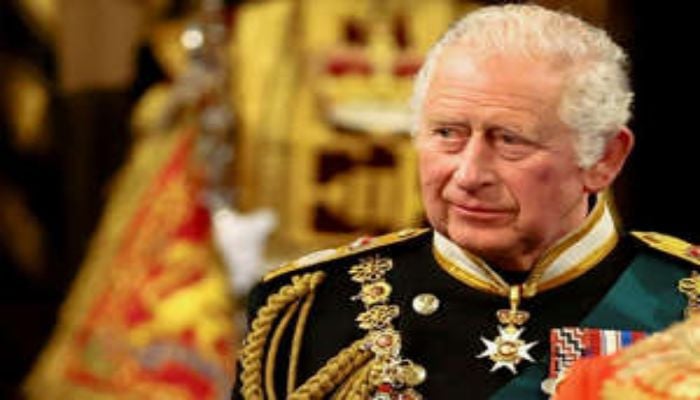 Charles terlihat bekerja sebagai Raja dalam gambar baru yang dirilis oleh Istana Buckingham