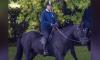 Prince Andrew returns to public eye in style, seen horse riding in Windsor