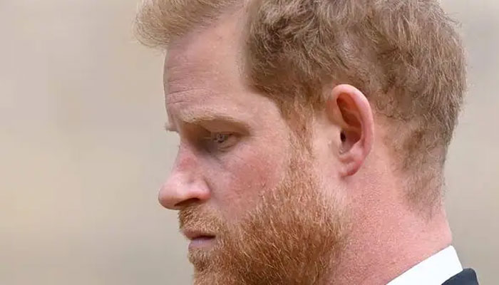 Prince Harry ‘put up a front’ for years: ‘He caused Megxit!’