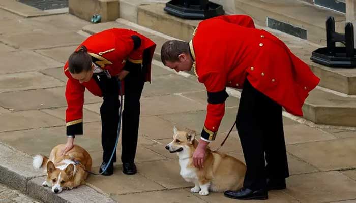 Queen Elizabeths corgis return to live at Royal Lodge with Prince Andrew, Sarah Ferguson
