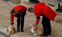 Queen Elizabeth's corgis return to live at Royal Lodge with Prince Andrew, Sarah Ferguson