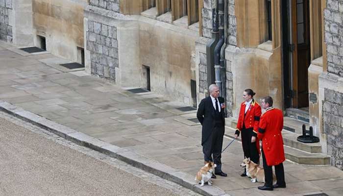 Prince Andrew to serve as dogwalker under King Charles