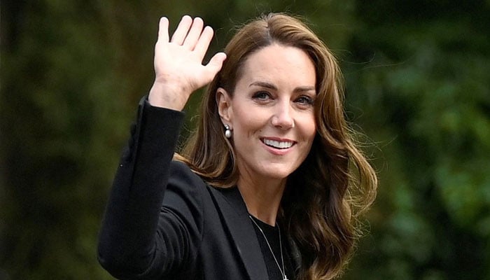 ‘Shocking’ video of Kate Middleton being insulted by the paparazzi