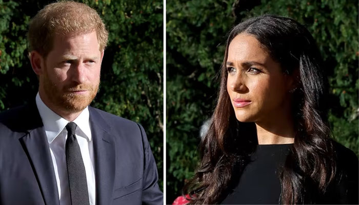 Prince Harry, Meghan Markle ‘forging ahead’ with ‘nothing to lose’ over Netflix