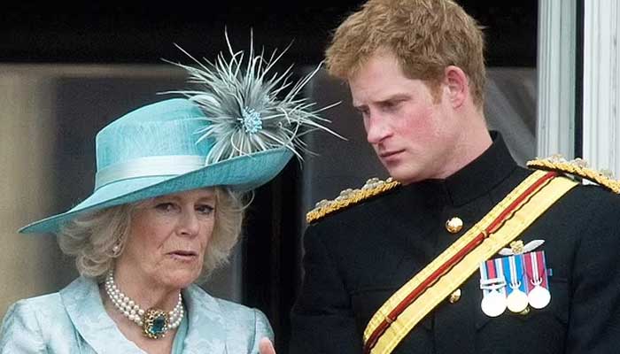 Camilla could be first in line for any attack Prince Harry wishes to launch against royal family