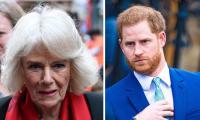 Camilla ‘completely broken’ by Prince Harry fall out: ‘So distressing!’