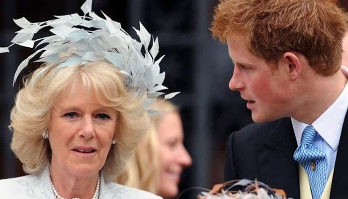 Queen Consort Camilla is being rebalanced after Prince Harry nasty jibes