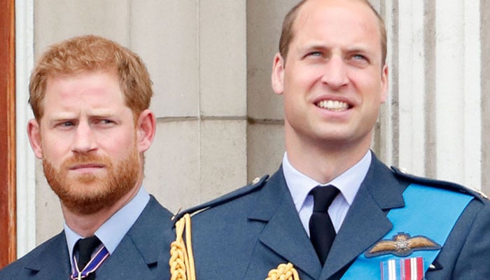 William can't 'forgive' Harry who he thought would be his 'wingman'