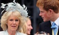 Queen Consort Camilla is being 'rebalanced' after Prince Harry 'nasty' jibes