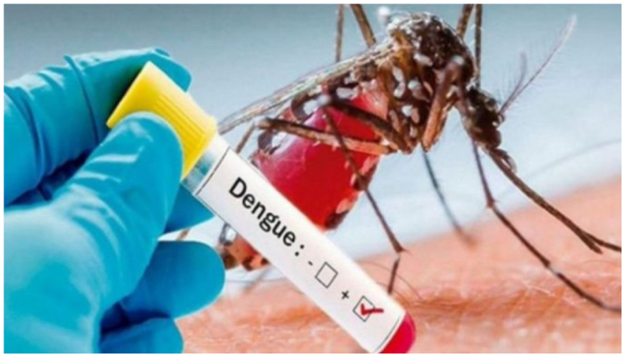 Image showing a person holding a test tube, while a close-up image of a mosquito could be seen in the background. — APP/ File