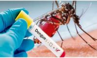 Rawalpindi: More than 2,000 FIRs registered for violating anti-dengue SOPs