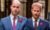 Prince William must reunite with Prince Harry to ‘protect’ royal family 