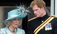 Royal biographer defends Queen Camilla, slams The Crown for 'terrible' portrayal