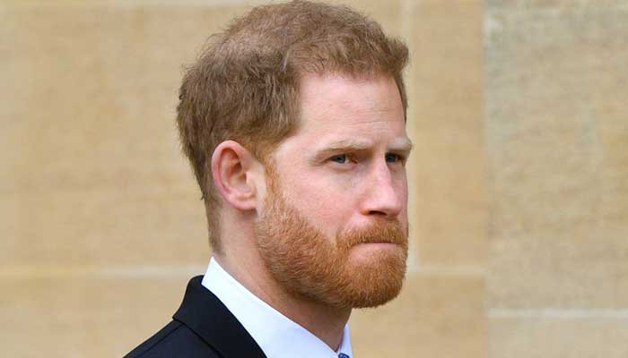 Prince Harry's reaction after losing 'his life of duty' revealed