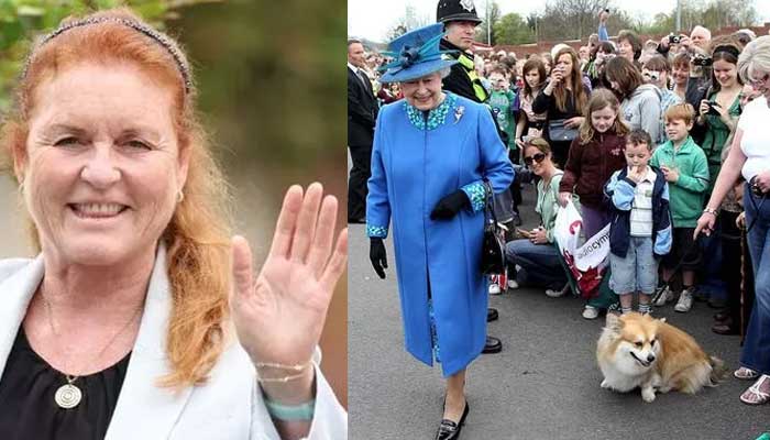 Prince Andrews ex-wife Sarah Ferguson shares interesting things about Queens corgis