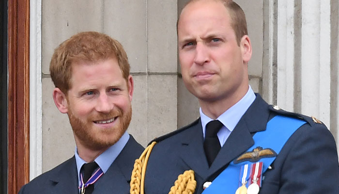 Prince William had immediate impact of Prince Harry exiting royal fold