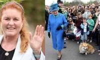 Prince Andrew's ex-wife Sarah Ferguson shares interesting things about Queen's corgis