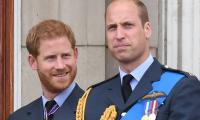 Prince William had 'immediate impact' of Prince Harry exiting royal fold