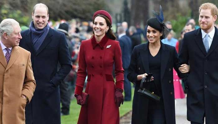 Meghan Markle dubbed breakout star, Kate and William praised as ornamental royals