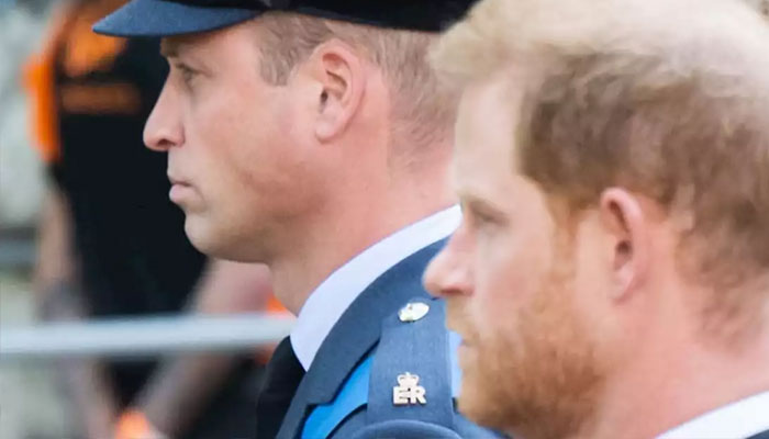 Prince William, Harry ‘surprised’ aides with shocking line of questioning