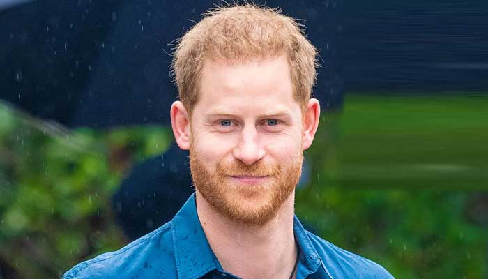 Prince Harry gives touching update on Archie and Lilibet during video call with a toddler