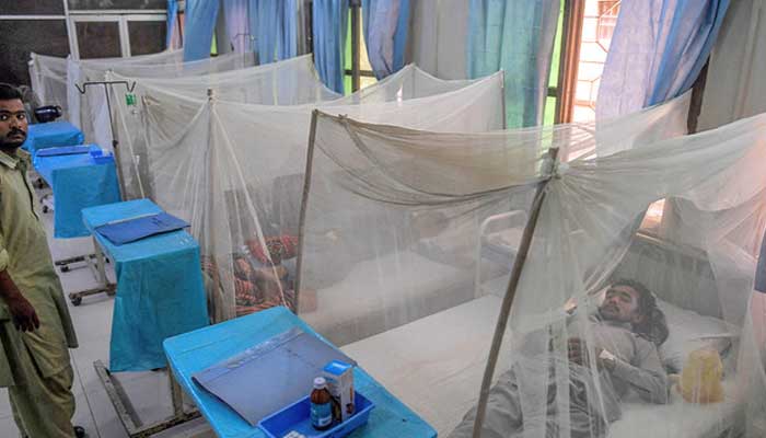 The Pakistan government decides to mosquito nets from India. Photo: AFP/file