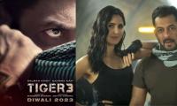 Salman Khan 'Tiger 3' postponed till Diwali 2023