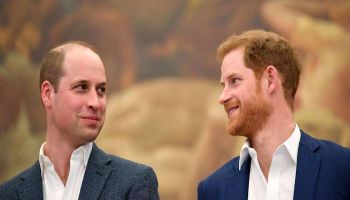 Prince William will not completely forgive Harry says author