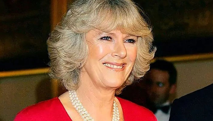 Queen Consort Camilla is all-geared up present Booker Prize 2022