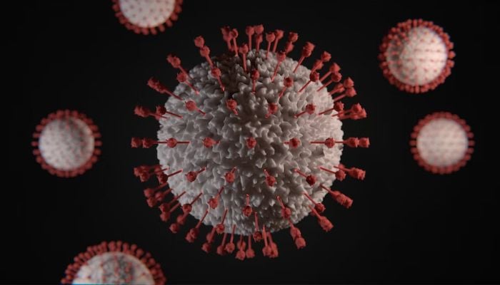 An illustration showing virus.— Unsplash